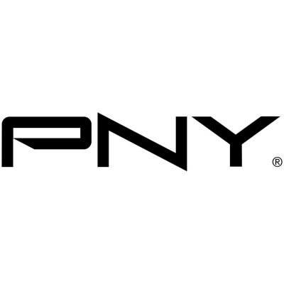 PNY NVIDIA L2 Module 24GB "LowProfile with ATX bracket mountedPCI ...