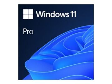 MS DSP Win 11 Pro 64Bit DVD OEM (EN)